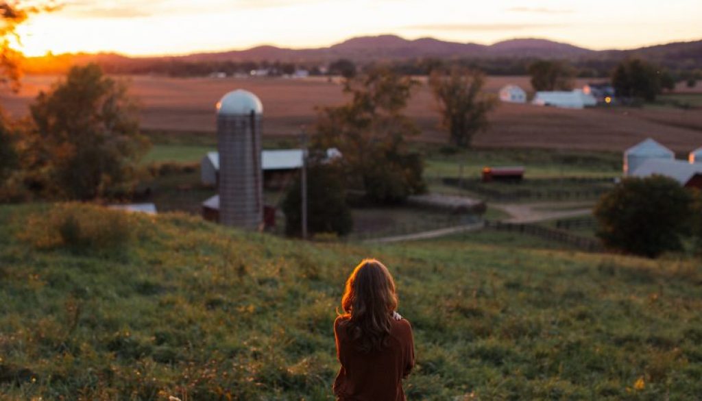 Death_to_stock_photography_farm_10